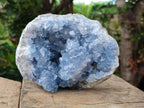 Natural Large Blue Celestite Geode Cluster Specimen x 1 From Sakoany, Madagascar