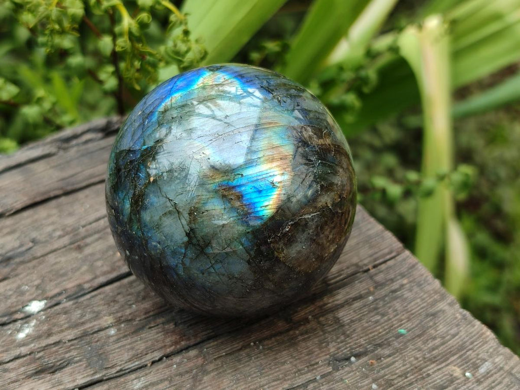 Polished Small Labradorite Spheres x 5 From Madagascar