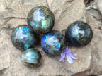 Polished Small Labradorite Spheres x 5 From Madagascar