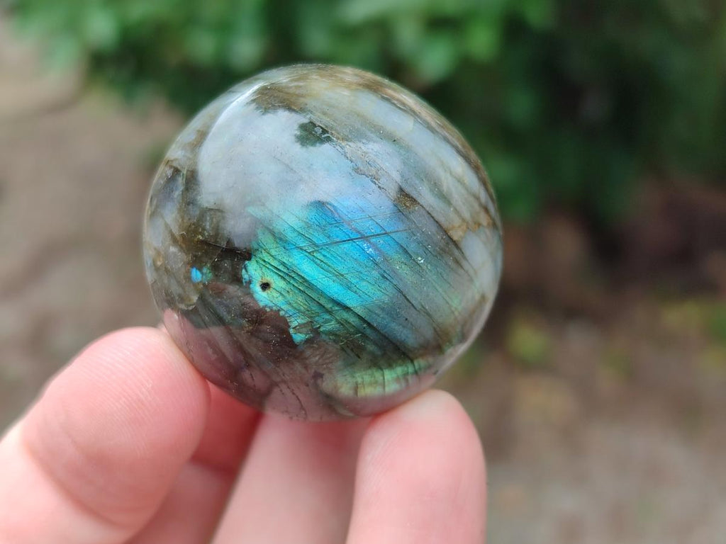 Polished Small Labradorite Spheres x 5 From Madagascar