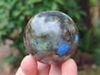 Polished Small Labradorite Spheres x 5 From Madagascar