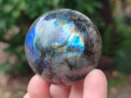 Polished Small Labradorite Spheres x 5 From Madagascar