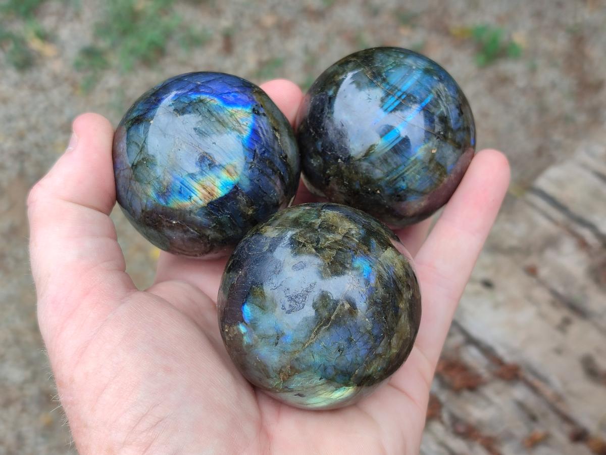 Polished Small Labradorite Spheres x 5 From Madagascar