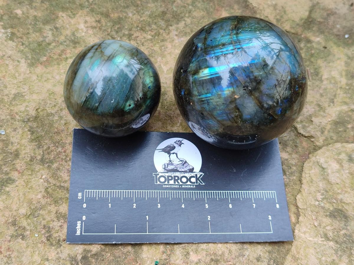 Polished Small Labradorite Spheres x 5 From Madagascar