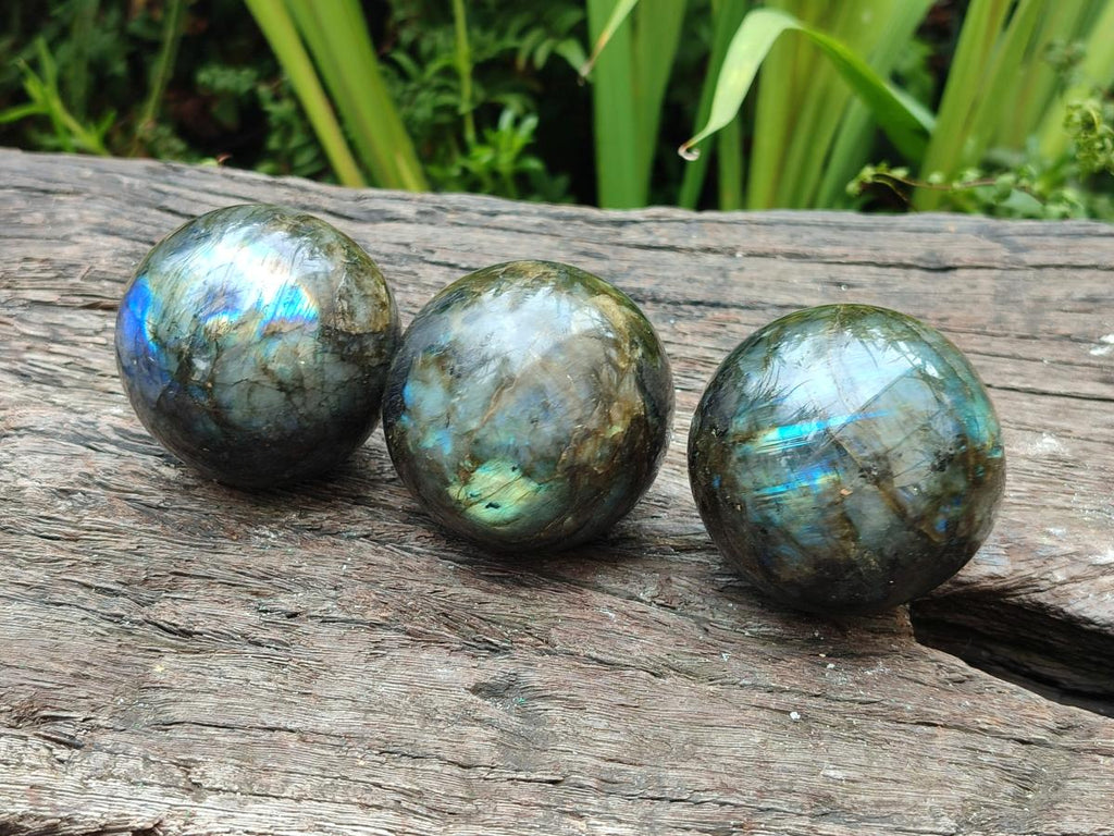 Polished Small Labradorite Spheres x 5 From Madagascar