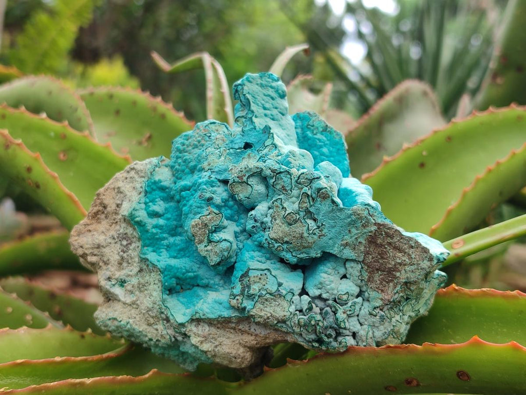 Natural Multi Mineral Specimens x 6 From Southern Africa