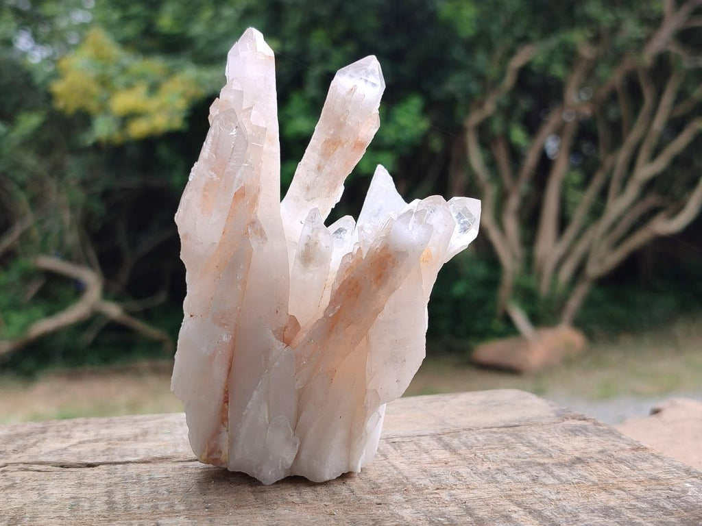 Natural Multi Mineral Specimens x 6 From Southern Africa