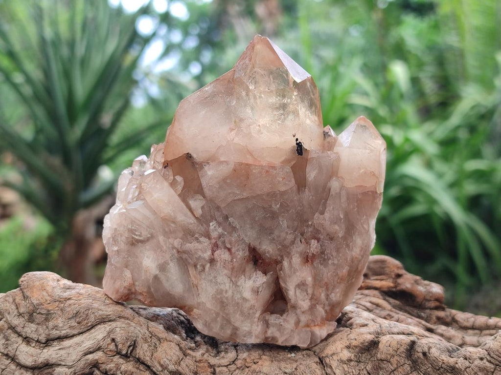 Natural Multi Mineral Specimens x 6 From Southern Africa