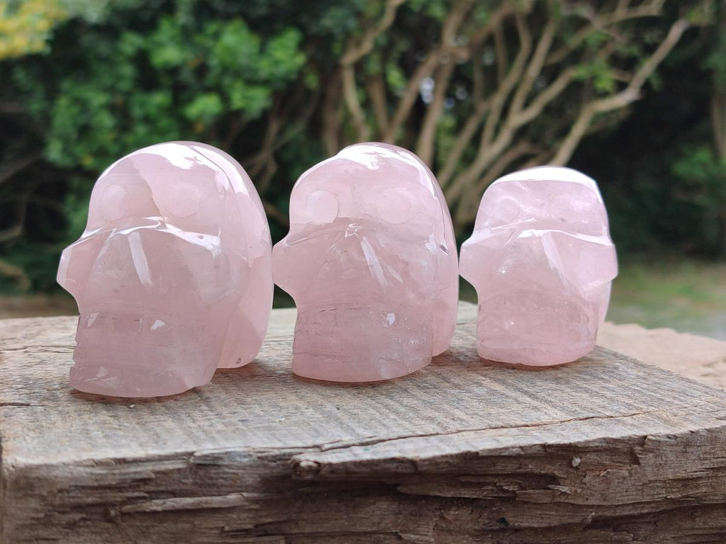 Hand Made Small Gemmy Rose Quartz Skull Carvings x 5 From Madagascar