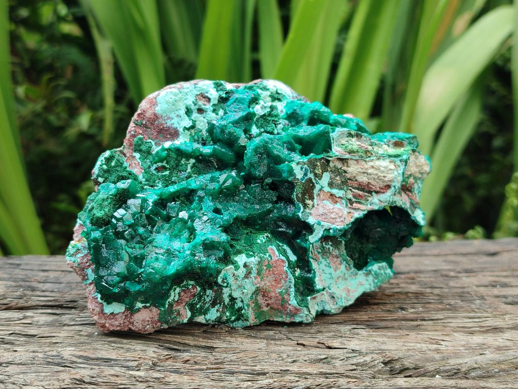 Natural Large Dioptase and Chrysocolla Specimen x 1 From Likasi, Congo