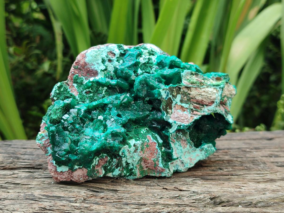Natural Large Dioptase and Chrysocolla Specimen x 1 From Likasi, Congo