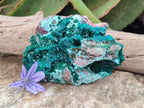 Natural Large Dioptase and Chrysocolla Specimen x 1 From Likasi, Congo