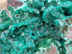 Natural Large Dioptase and Chrysocolla Specimen x 1 From Likasi, Congo