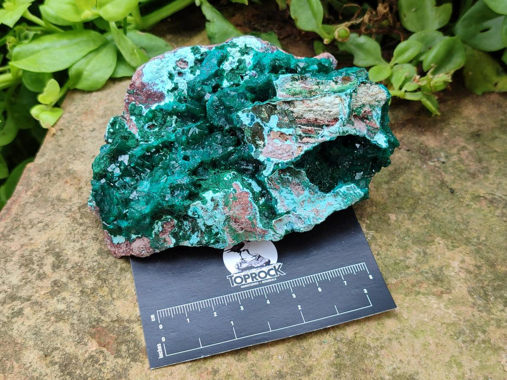 Natural Large Dioptase and Chrysocolla Specimen x 1 From Likasi, Congo