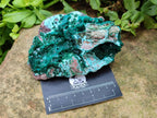 Natural Large Dioptase and Chrysocolla Specimen x 1 From Likasi, Congo