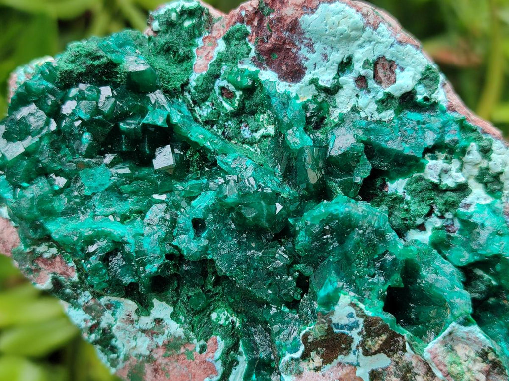 Natural Large Dioptase and Chrysocolla Specimen x 1 From Likasi, Congo