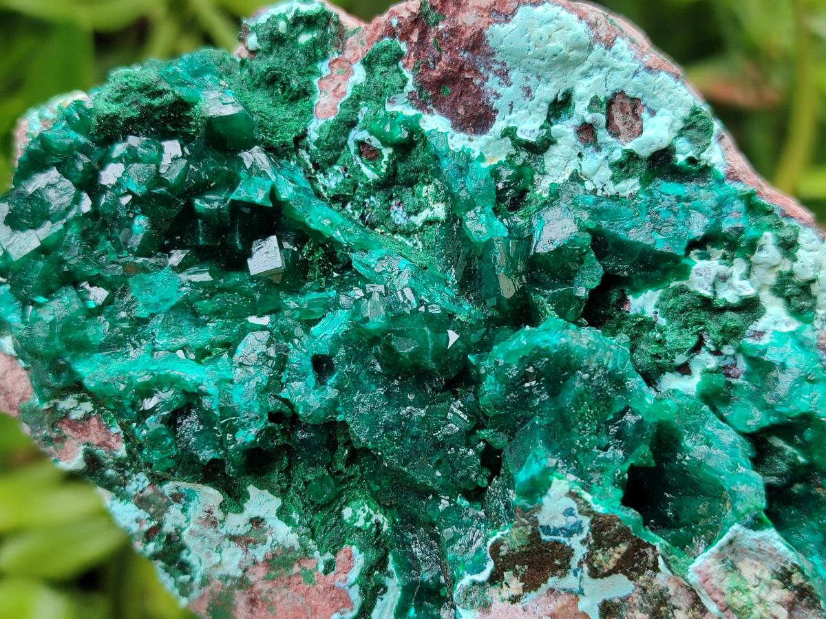 Natural Large Dioptase and Chrysocolla Specimen x 1 From Likasi, Congo
