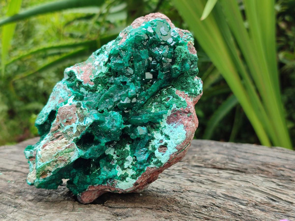 Natural Large Dioptase and Chrysocolla Specimen x 1 From Likasi, Congo