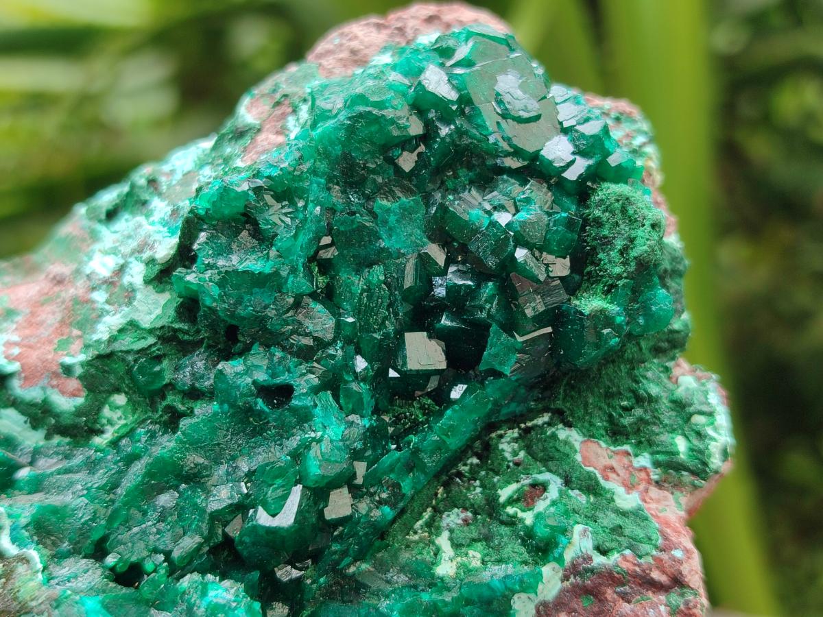 Natural Large Dioptase and Chrysocolla Specimen x 1 From Likasi, Congo