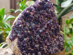 Natural Large Dark Amethyst Cluster x 1 From Mapatizya, Zambia