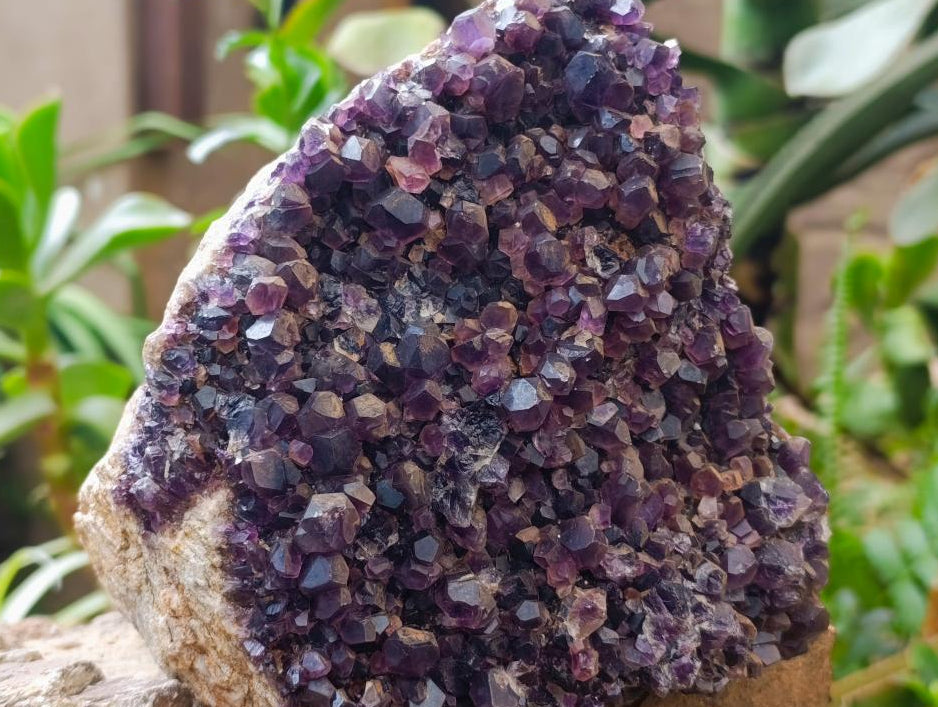 Natural Large Dark Amethyst Cluster x 1 From Mapatizya, Zambia