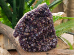 Natural Large Dark Amethyst Cluster x 1 From Mapatizya, Zambia