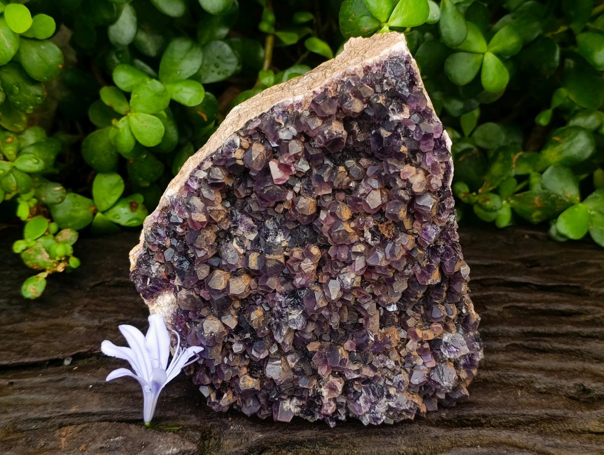 Natural Large Dark Amethyst Cluster x 1 From Mapatizya, Zambia