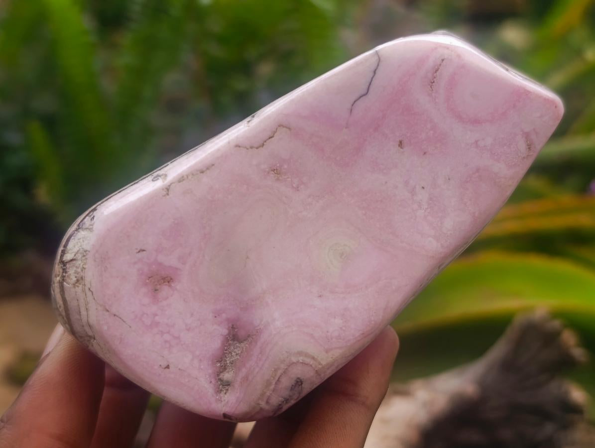 Polished Cobaltion Calcite in Dolomite Free Forms x 5 From Kakanda, Congo