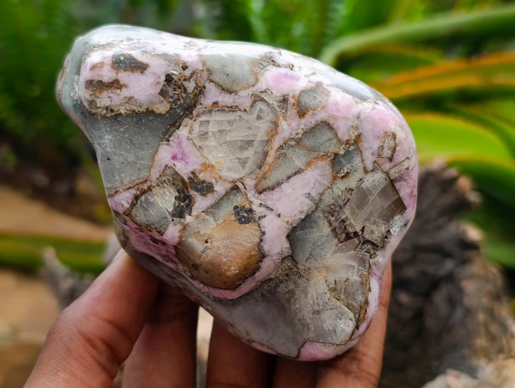 Polished Cobaltion Calcite in Dolomite Free Forms x 5 From Kakanda, Congo