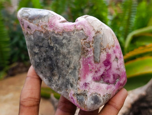 Polished Cobaltion Calcite in Dolomite Free Forms x 5 From Kakanda, Congo