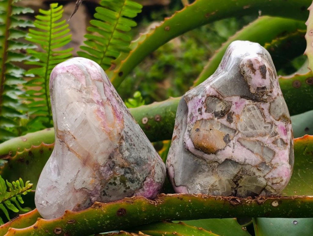 Polished Cobaltion Calcite in Dolomite Free Forms x 5 From Kakanda, Congo