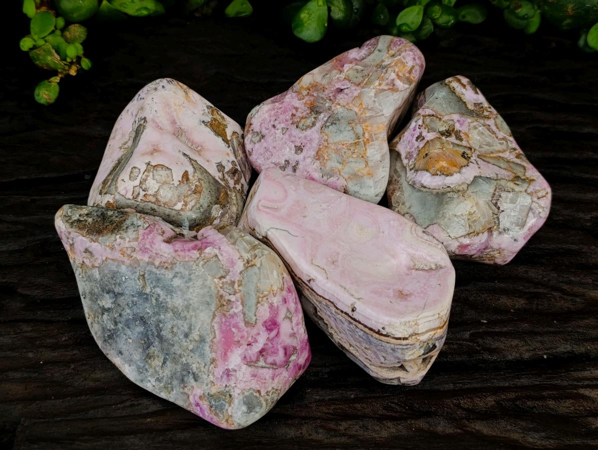 Polished Cobaltion Calcite in Dolomite Free Forms x 5 From Kakanda, Congo