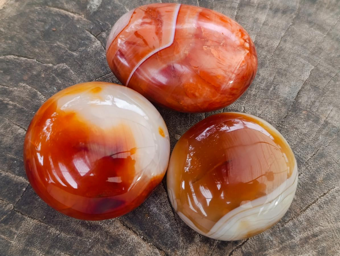 Polished Carnelian Agate Gemstone Galets x 12 From Madagascar