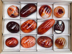 Polished Carnelian Agate Gemstone Galets x 12 From Madagascar
