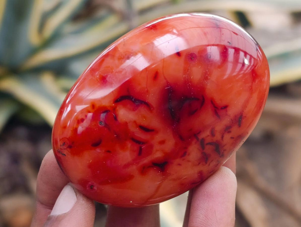 Polished Carnelian Agate Gemstone Galets x 12 From Madagascar