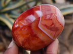 Polished Carnelian Agate Gemstone Galets x 12 From Madagascar