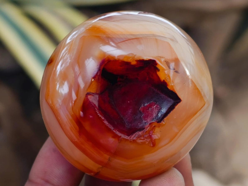 Polished Carnelian Agate Gemstone Galets x 12 From Madagascar