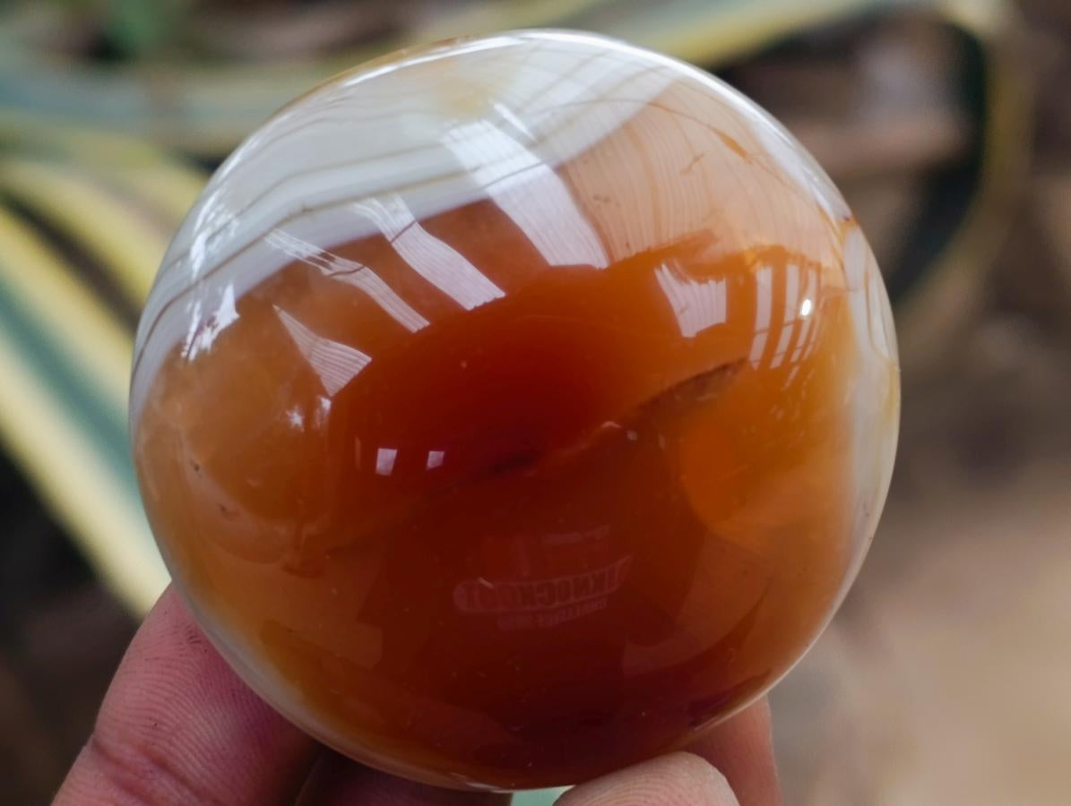 Polished Carnelian Agate Gemstone Galets x 12 From Madagascar