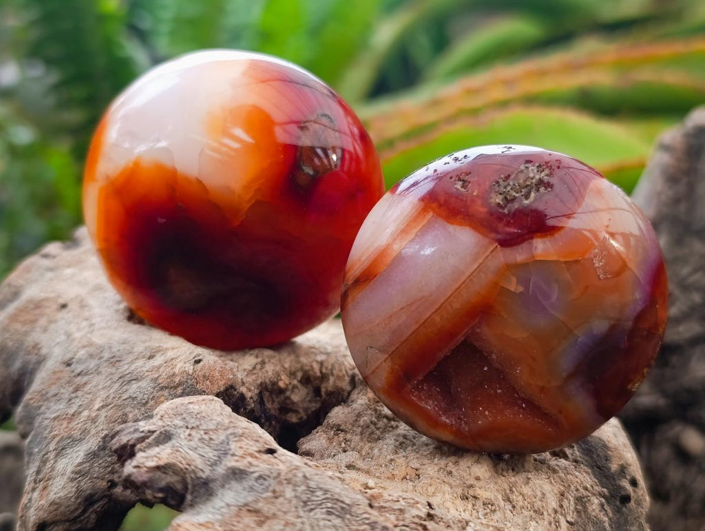 Polished Carnelian Agate Gemstone Galets x 12 From Madagascar