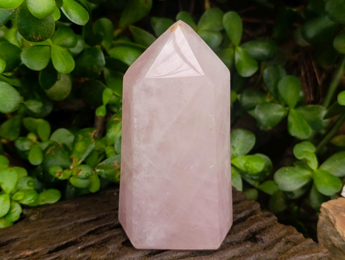 Polished Gemmy Rose Quartz Crystals x 2 From Madagascar