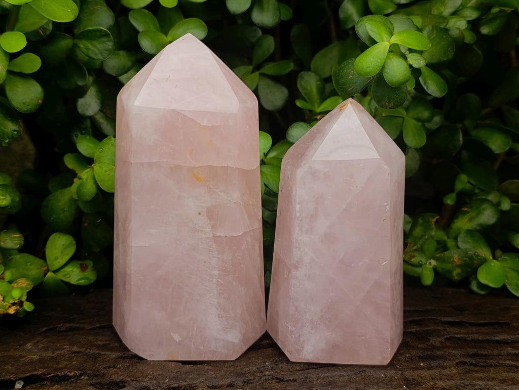 Polished Gemmy Rose Quartz Crystals x 2 From Madagascar