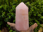 Polished Gemmy Rose Quartz Crystals x 2 From Madagascar