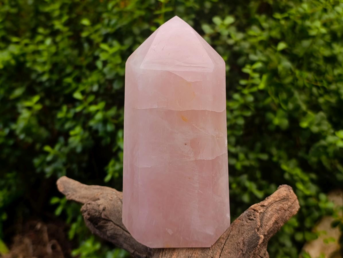 Polished Gemmy Rose Quartz Crystals x 2 From Madagascar