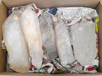 Natural Double Terminated Quartz Crystals x 5 From Madagascar