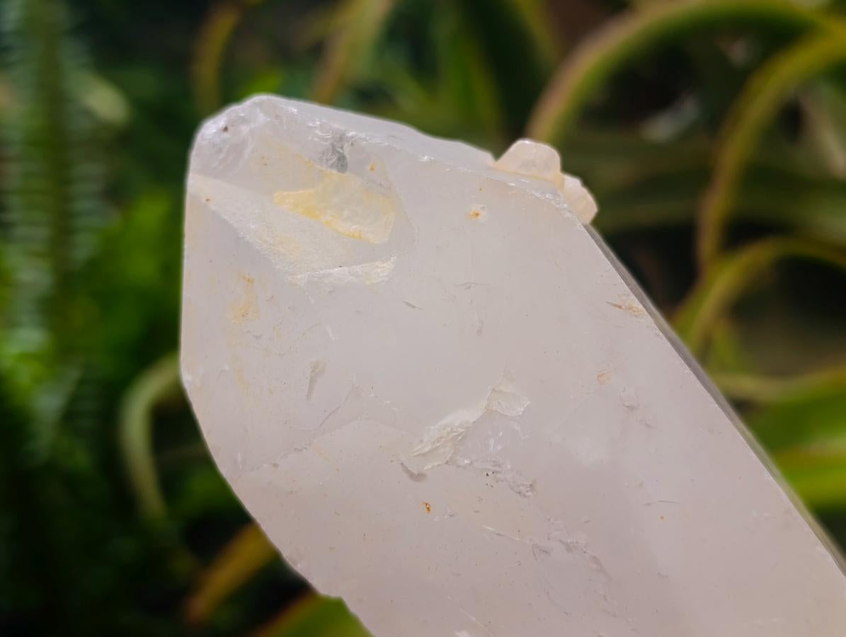 Natural Double Terminated Quartz Crystals x 5 From Madagascar