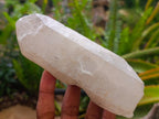 Natural Double Terminated Quartz Crystals x 5 From Madagascar