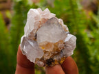 Natural Mixed Spirit Quartz Crystals and Clusters x 56 From Boekenhouthoek, South Africa