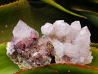Natural Mixed Spirit Quartz Crystals and Clusters x 56 From Boekenhouthoek, South Africa