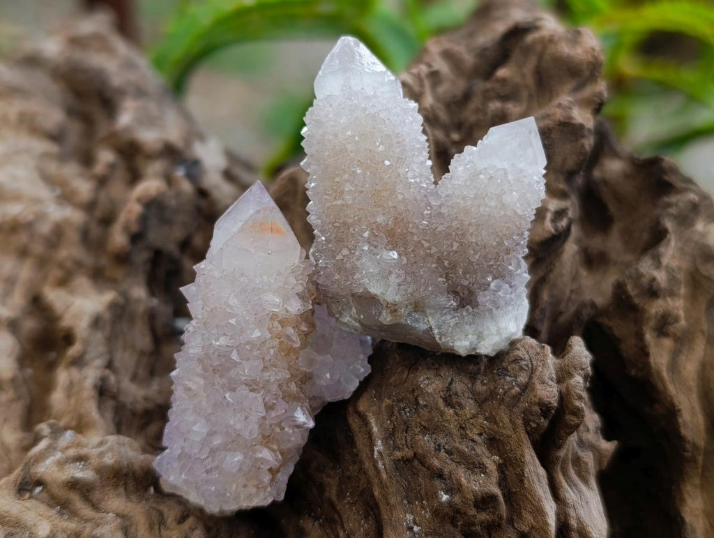 Natural Mixed Spirit Quartz Crystals and Clusters x 56 From Boekenhouthoek, South Africa