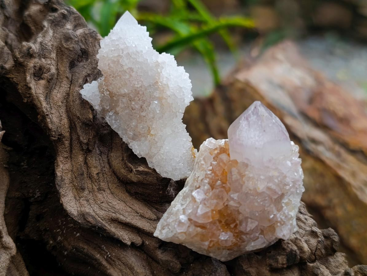 Natural Mixed Spirit Quartz Crystals and Clusters x 56 From Boekenhouthoek, South Africa